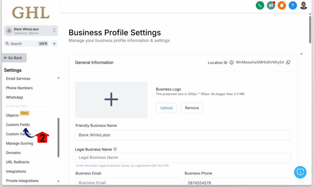 Custom Fields and Custom Values - custom fields
